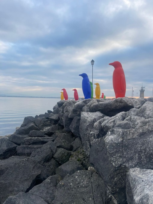 Le opere di Cracking Art «invadono» il centro di Desenzano