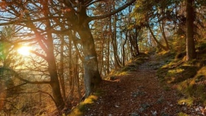 Raccolta firme per dire “no” alla realizzazione della strada