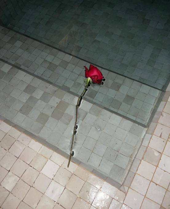 Blanco rompe il silenzio pubblicando una rosa rossa sui social