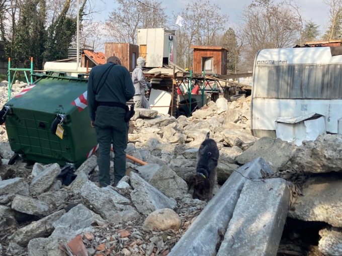 Esche sospette al campo cinofilo: il parco di Lovernato riaperto dopo la bonifica