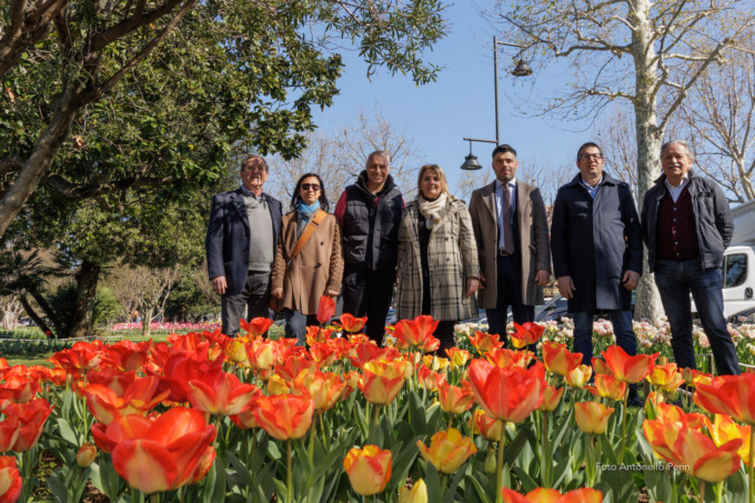 Tulipani a Sirmione: in trentamila colorano le aiuole di Viale Marconi