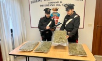 Corriere arrestato in autostrada: con sé 4 chilogrammi di marijuana