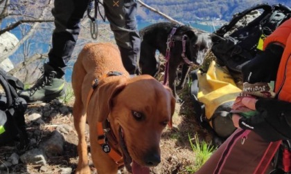 Cani bloccati in vetta, i Vigili del Fuoco li riportano ai proprietari