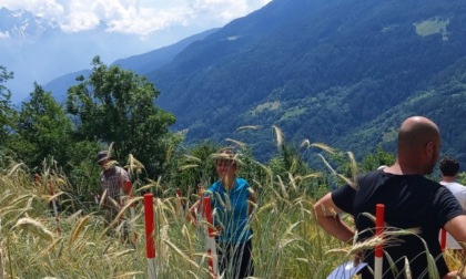 Fondazione Cariplo, 30 anni di impegno per uno sviluppo davvero sostenibile