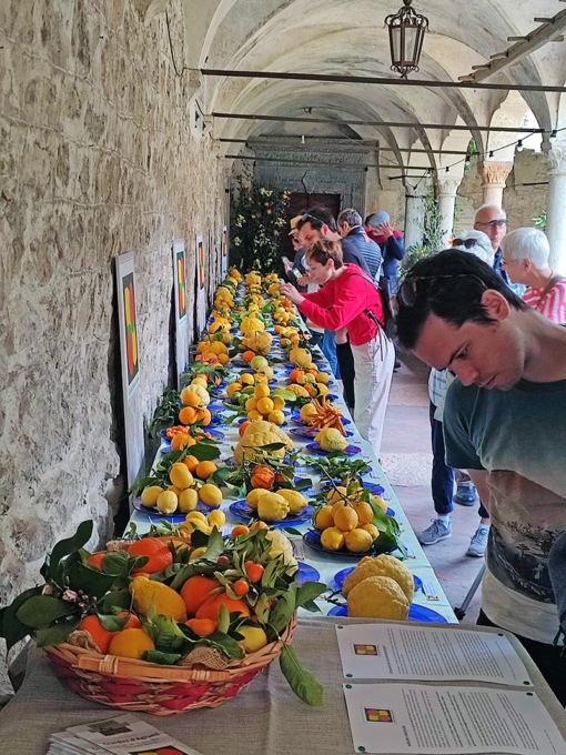 Giardini d’Agrumi: ultimo giorno