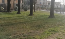 Mancano i parcheggi: Iseo pensa a soluzioni che tutelino il verde