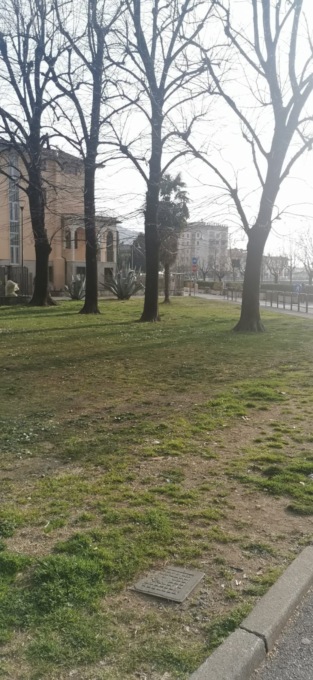 Mancano i parcheggi: Iseo pensa a soluzioni che tutelino il verde