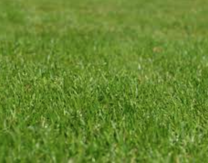 Giardino della Biodiversità: al via i lavori al Parco della Montagnola