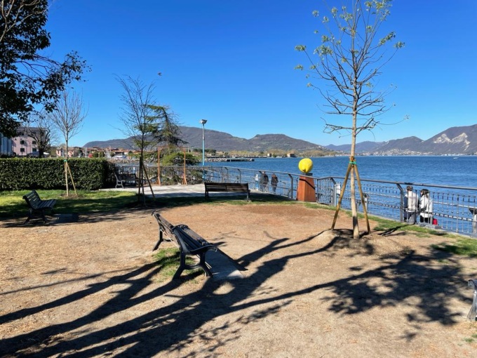 La Soms chiede di pagare le piante al Garelli, ma il Comune dice “No”