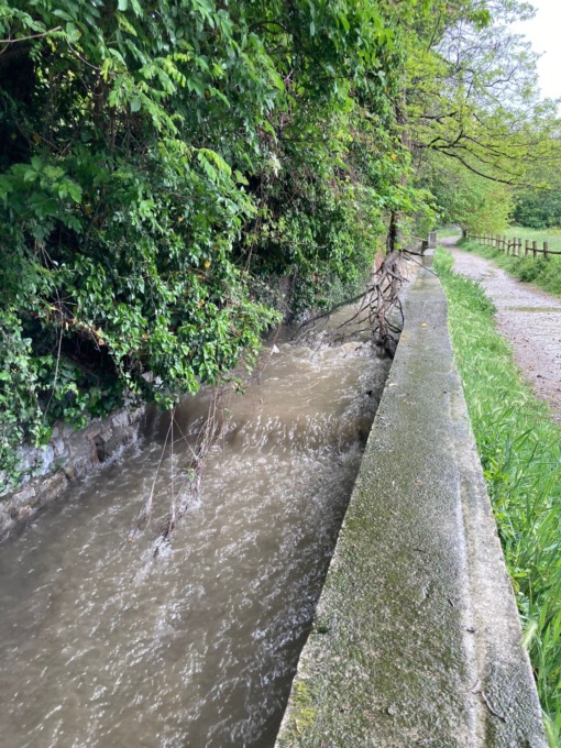 Acque miste nella Riserva per la pioggia battente: “Scolmatore ferita aperta”