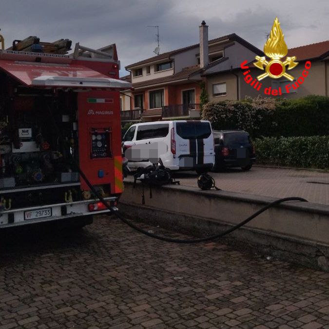 A fuoco un appartamento: al suo interno cinque porcellini d’India