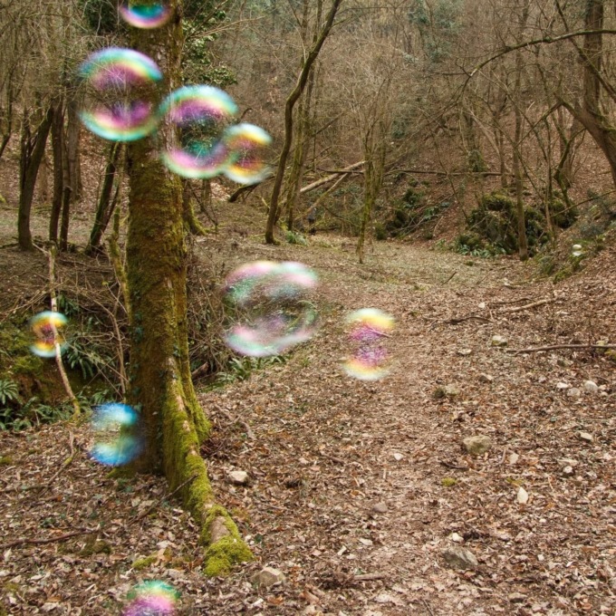 “Nel bosco… immagino”: iniziative da maggio a settembre