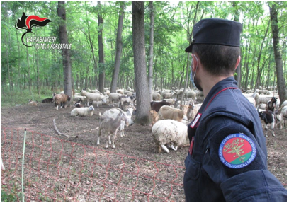 Sussidi Ue in agricoltura: sequestrati 171mila euro