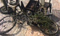 Pulizia dei fondali del golfo a Salò: tra gli oggetti rinvenuti biciclette e lavandini
