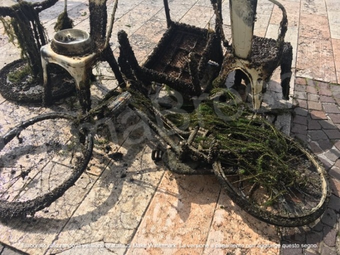 Pulizia dei fondali del golfo a Salò: tra gli oggetti rinvenuti biciclette e lavandini