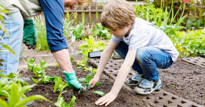 In edicola ultimi semi in regalo con ManerbioWeek, ChiariWeek, MontichiariWeek e GardaWeek