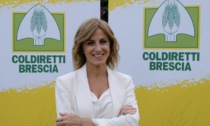 Stop alla norma degli imballaggi,  Laura Facchetti Coldiretti Brescia: "Vince la filiera italiana"