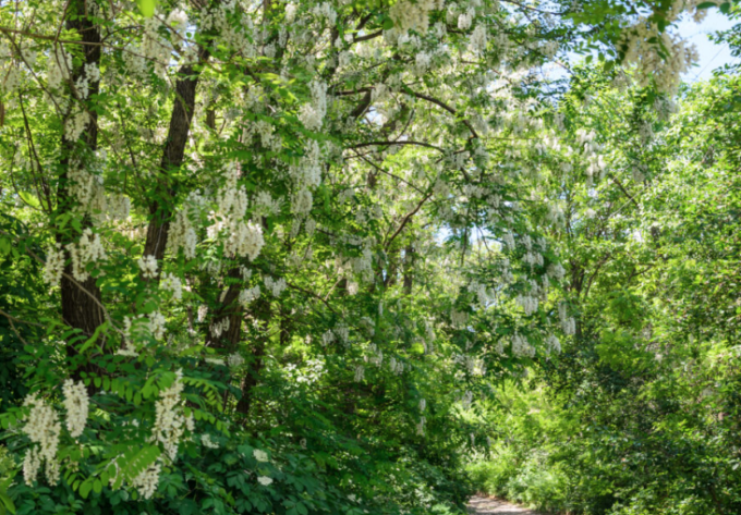 Brescia e provincia, persi oltre 50mila ettari di suolo