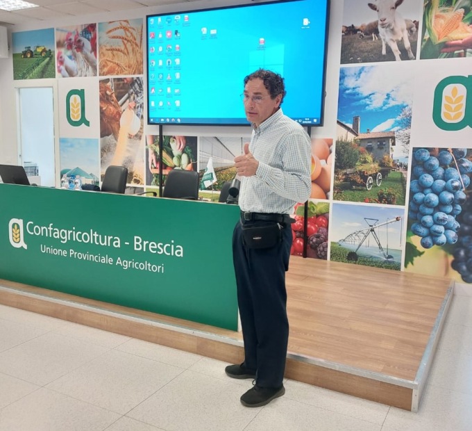 Peste suina nel Bresciano: cosa ne pensano gli allevatori