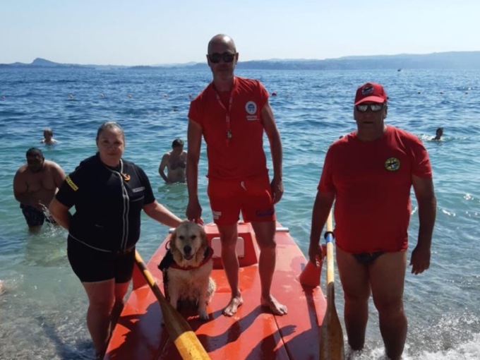 Kelly, il cane bagnino che sorveglia il Lido Azzurro