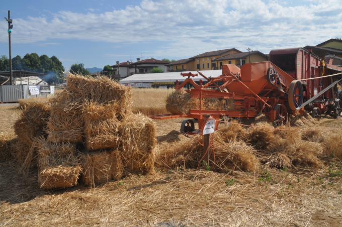 Torna la Festa della Mietitura