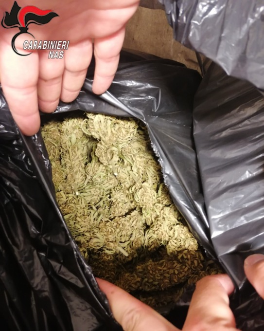 Gussago: scoperto in un garage un laboratorio clandestino per la raffinazione di canapa a fini terapeutici