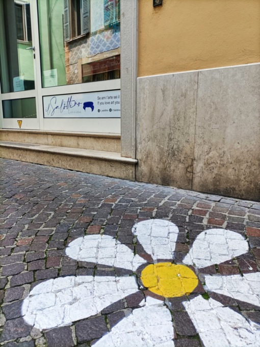 Salòttino: da sabato al via la mostra “Insetti”