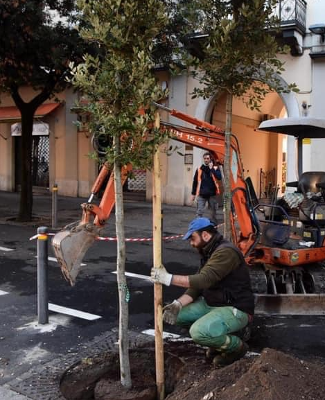 Viali alberati: al via le opere di manutenzione e rifacimento
