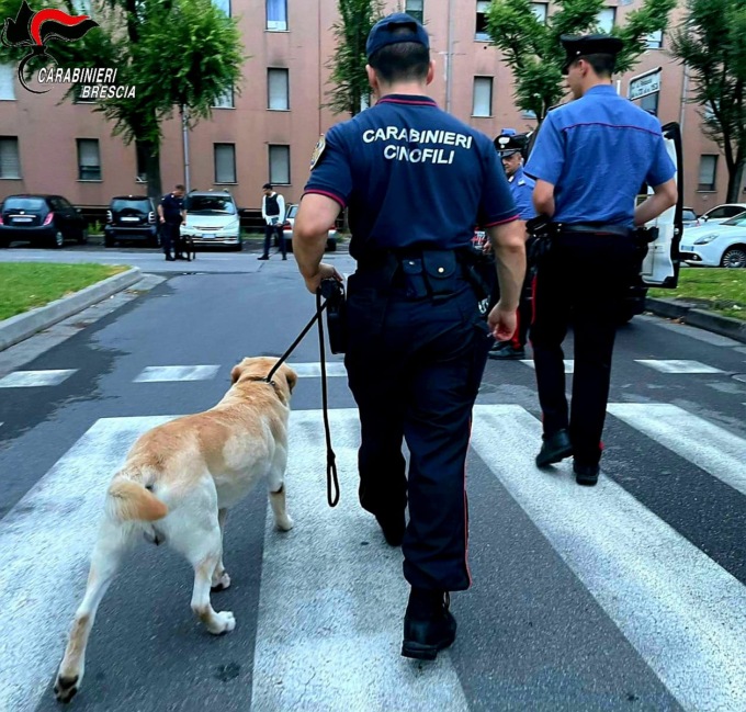 Traffico di droga nel bresciano, sequestrati 105 chili di hashish: tre arresti