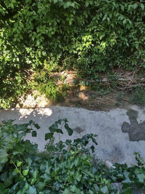 Rezzato: la Giunta approva gli interventi di manutenzione straordinaria sui corsi d’acqua