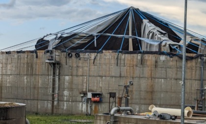 Tetti scoperchiati e serre danneggiate: il maltempo mette in ginocchio l'agricoltura bresciana