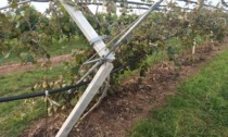 Grandine e vento: colpita pesantemente l'agricoltura bresciana
