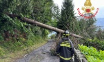 Maltempo e forte vento in Valcamonica: interventi nella notte da parte dei Vigili del Fuoco