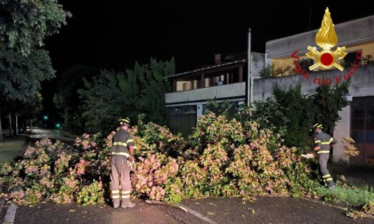 Vigili del Fuoco allertati per maltempo: 30 interventi effettuati