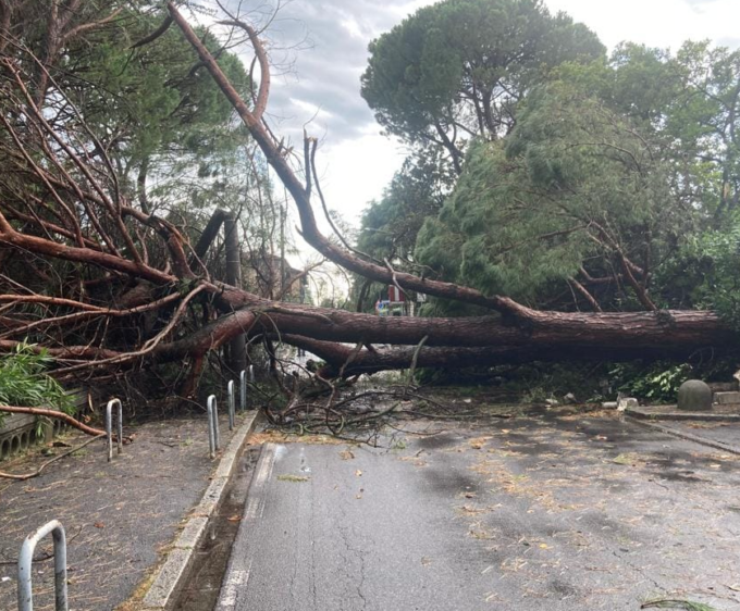 Lavori di potatura e messa in sicurezza dopo il maltempo: il punto a Rezzato