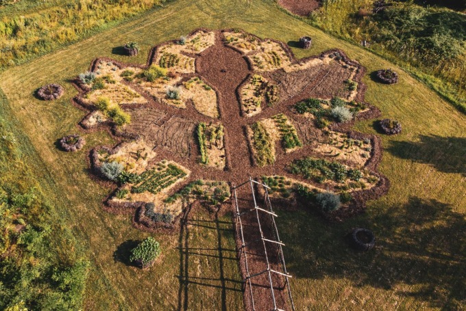 I suoni della cantina e un orto vitae raccontano la storia del vino