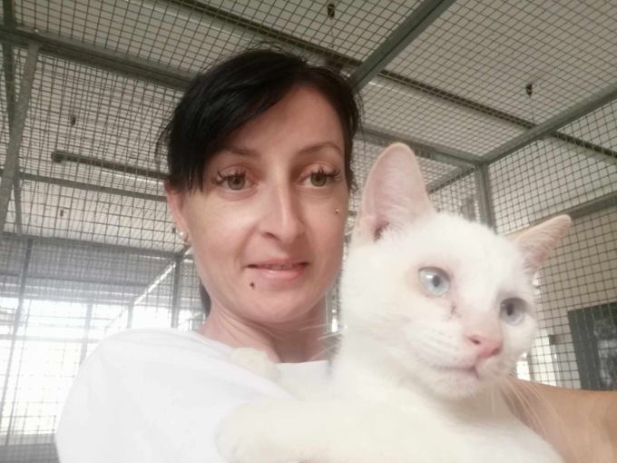 “Progetto coi baffi” pronto a tagliare il nastro: il sogno del gattile è realtà