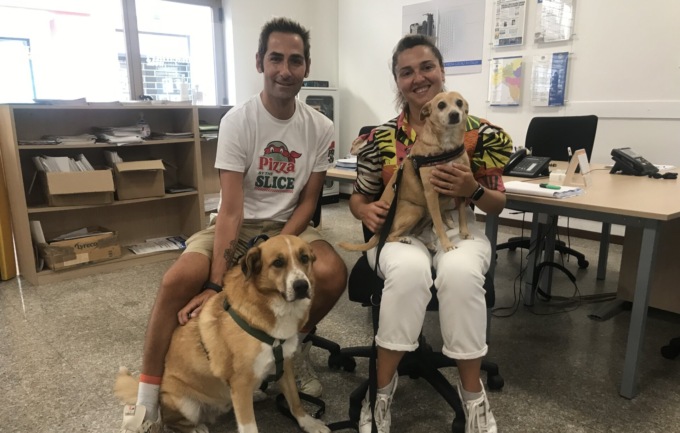 L’appello di Cinzia e Marco: “Adottate cani anziani, meritano l’amore”