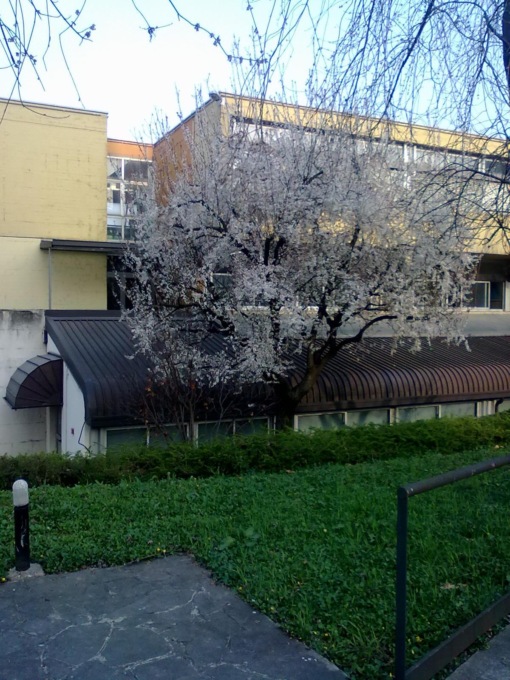Spazio Lampo: l’inaugurazione all’interno della Biblioteca del Parco Gallo