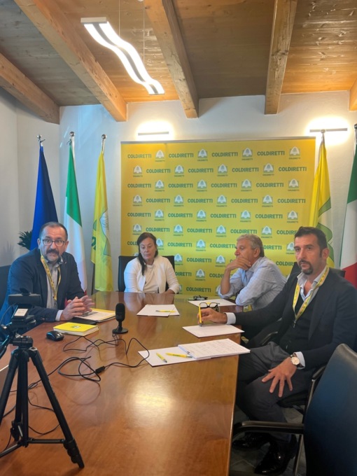 Peste suina africana: Coldiretti Brescia fa il punto della situazione