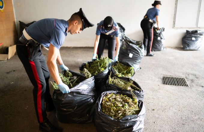 120 chili di marijuana nel garage, arrestati in cinque