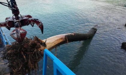 Tonnellate di legname nel lago, al lavoro il battello spazzino