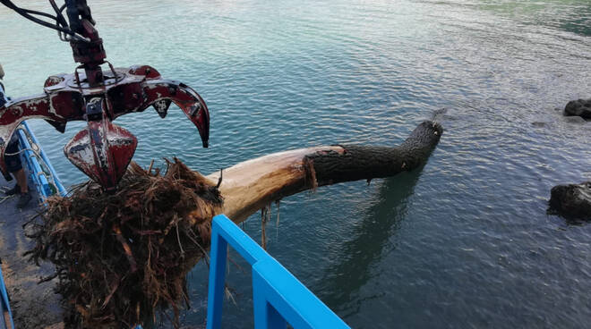 Tonnellate di legname nel lago, al lavoro il battello spazzino