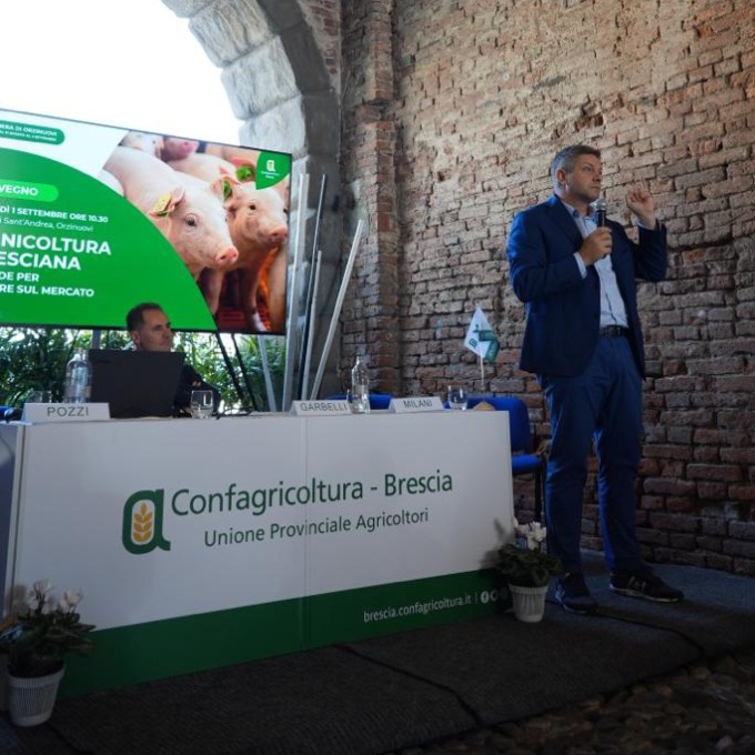 Peste suina: Garbelli ha richiesto l’istituzione di una cabina di regia sul territorio