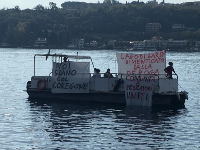 Pescatori professionisti a Salò contro lo stop al ripopolamento del coregone