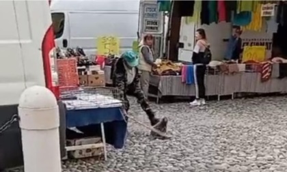 Nutria uccisa a bastonate in pieno centro, si infiamma il dibattito tra cittadini e animalisti