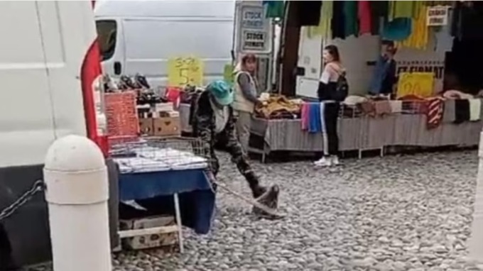 Nutria uccisa a bastonate in pieno centro, si infiamma il dibattito tra cittadini e animalisti