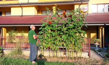 Gli ospiti della casa di riposo sono stati protagonisti di un laboratorio di giardinaggio