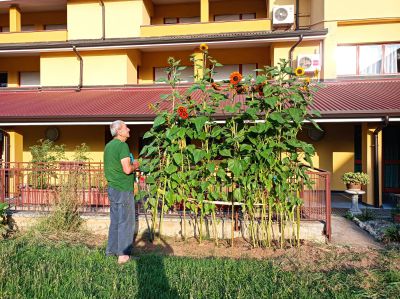 Gli ospiti della casa di riposo sono stati protagonisti di un laboratorio di giardinaggio