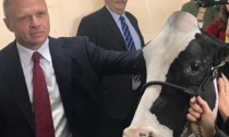 Il Ministro dell'Agricoltura e Sovranità Alimentare Francesco Lollobrigida alla Fazi a Montichiari